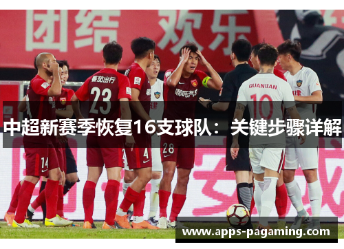 中超新赛季恢复16支球队：关键步骤详解