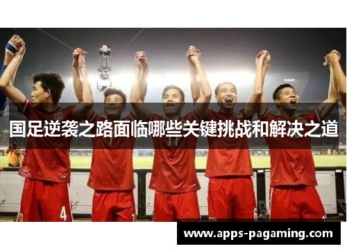 国足逆袭之路面临哪些关键挑战和解决之道