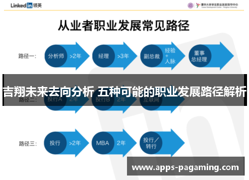 吉翔未来去向分析 五种可能的职业发展路径解析