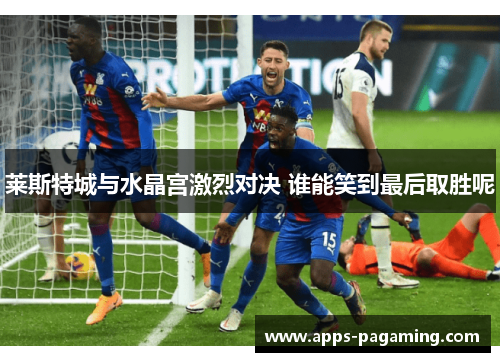 莱斯特城与水晶宫激烈对决 谁能笑到最后取胜呢