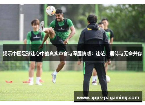 揭示中国足球迷心中的真实声音与深层情感：迷茫、期待与无奈并存