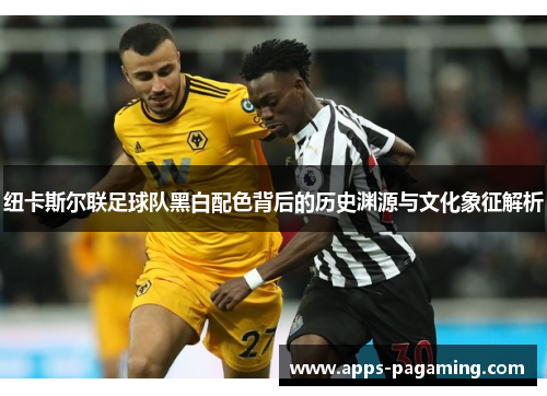 纽卡斯尔联足球队黑白配色背后的历史渊源与文化象征解析