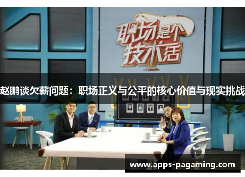 赵鹏谈欠薪问题：职场正义与公平的核心价值与现实挑战