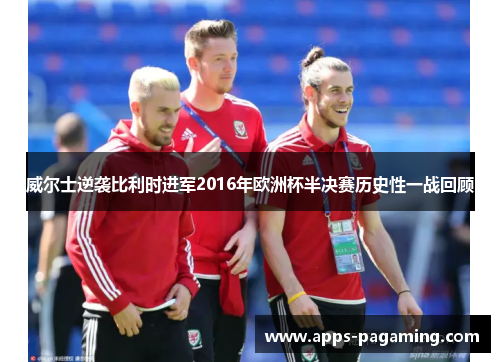 威尔士逆袭比利时进军2016年欧洲杯半决赛历史性一战回顾 威尔士逆袭比利时进军2016年欧洲杯半决赛历史性一战回顾