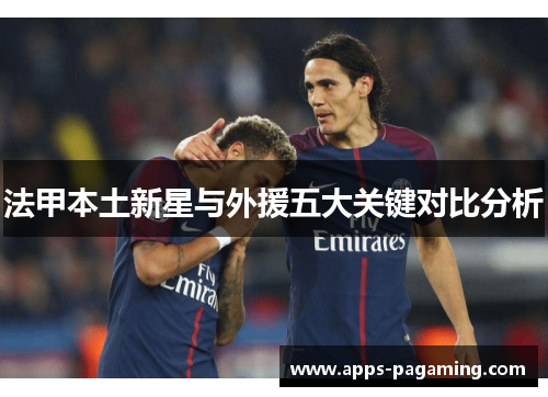 法甲本土新星与外援五大关键对比分析