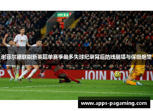 谢菲尔德联刷新英超单赛季最多失球纪录背后防线崩塌与保级绝望
