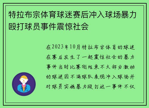 特拉布宗体育球迷赛后冲入球场暴力殴打球员事件震惊社会 特拉布宗体育球迷赛后冲入球场暴力殴打球员事件震惊社会